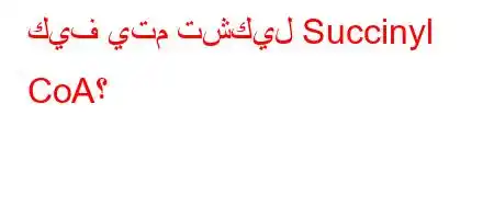 كيف يتم تشكيل Succinyl CoA؟